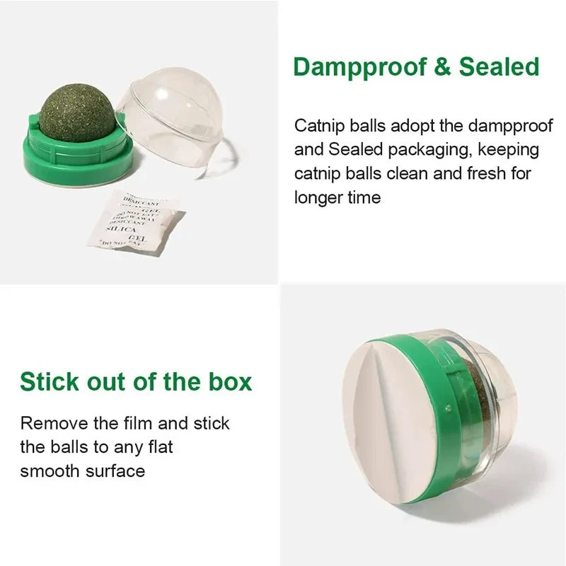 Natural Catnip Wall-Mounted Ball Toy and Scratcher for Cats - Promotes Digestion and Healthy Snacking