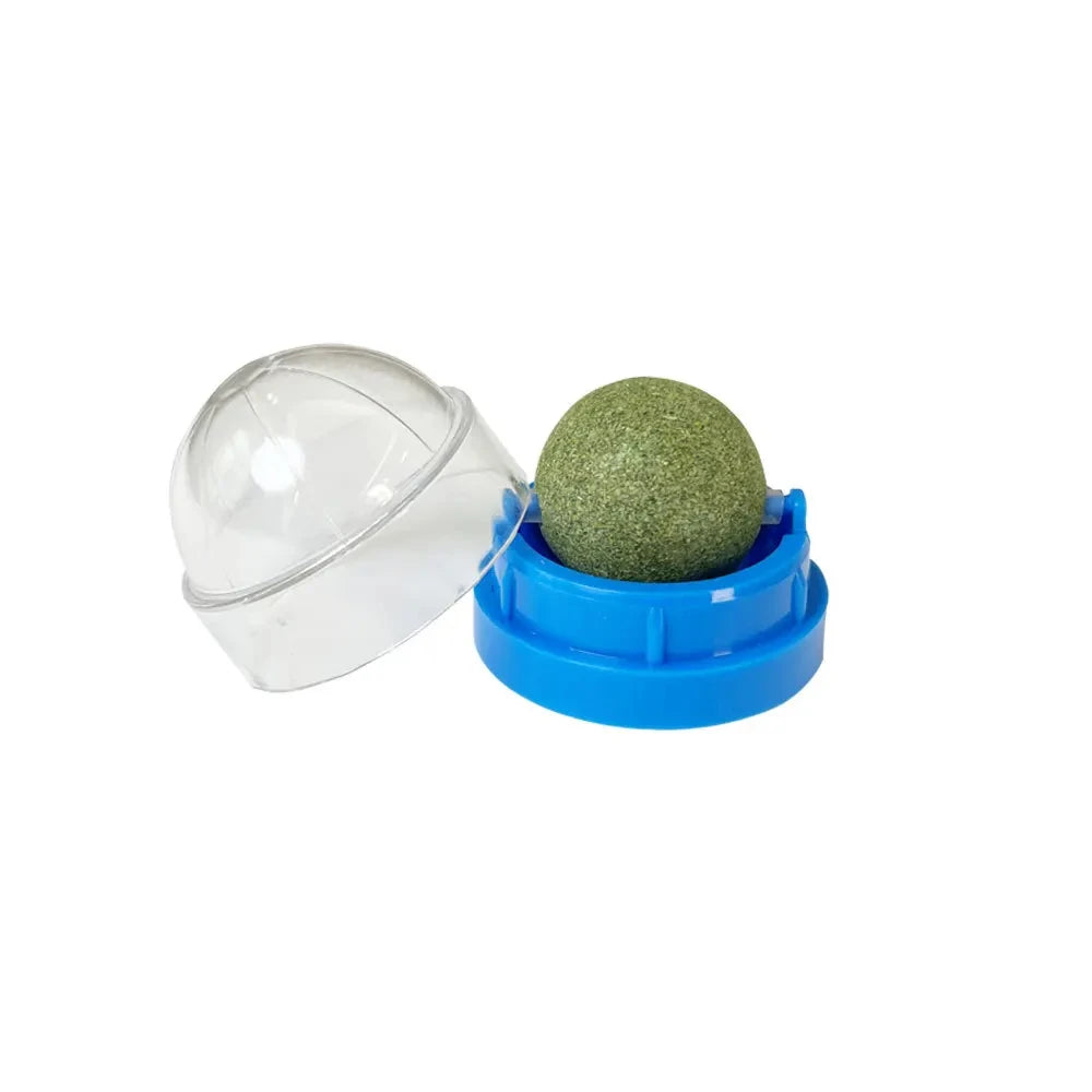 Natural Catnip Wall-Mounted Ball Toy and Scratcher for Cats - Promotes Digestion and Healthy Snacking