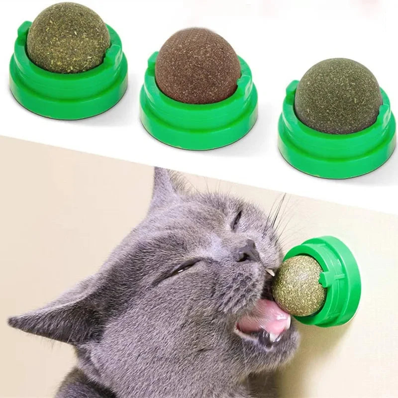 Natural Catnip Wall-Mounted Ball Toy and Scratcher for Cats - Promotes Digestion and Healthy Snacking